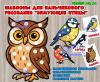 Зимующие птицы: шаблоны для пластилиновых заплаток, пальчикового рисования, работы с камешками марблс (зимующие птицы, бокс для подарка, пальчиковая игра, шаблон. апрель, шаблон, рисование, птицы, перелетные птицы, пальчиковая гимнастика, день птиц)