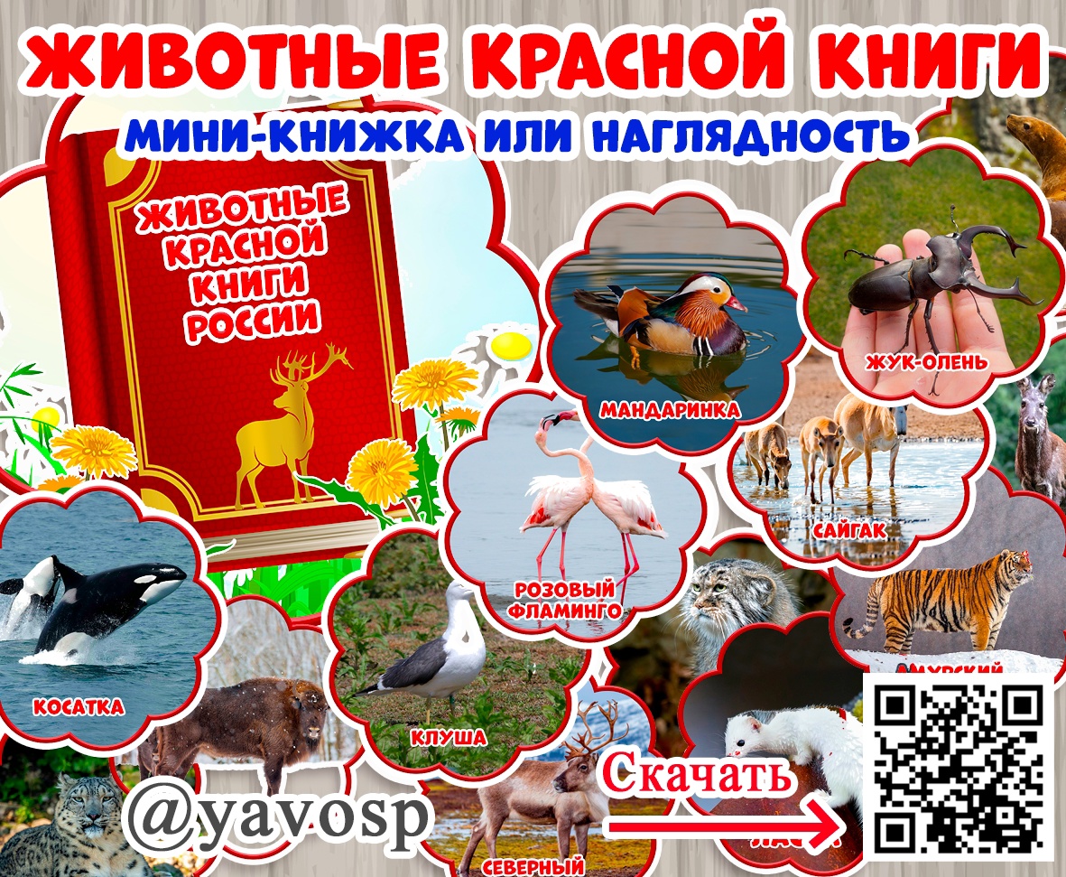  60 Pixxi ru