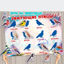 Игра на липучках "Тени: зимующие птицы". 