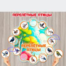 Игра на липучках "Перелетные птицы" 
