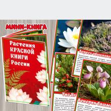 Мини-книга «Растения Красной книги России» 9 страниц + обложка.  ()