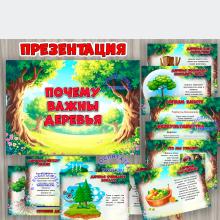 Презентация «Почему важны деревья»  ()