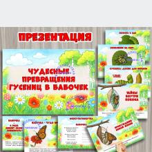 Презентация «Чудесные превращения гусениц в бабочек» ()