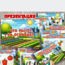 Презентация «Что растёт на огороде»  ()