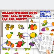 Игра «Леса, сад, огород — где это растёт?»  ()