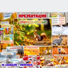 Презентация «Природа осенью» из 16 слайдов.  ()