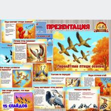 Презентация «Перелетные птицы осенью» Презентация «Перелетные птицы осенью» (перелетные птицы, день птиц, зимующие птицы, осень, презентация, птицы)