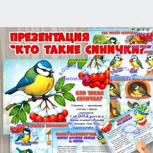 Презентация "Кто такие синички"? Презентация "Кто такие синички"? (презентация)