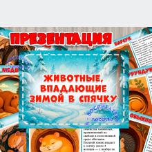 Презентация "Животные, впадающие в спячку" (животные, презентация, домашние животные, животные севера)