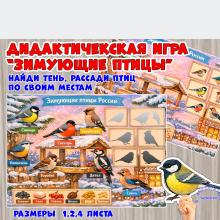 Плакат и игра "Зимующие птицы России" (зимующие птицы, игра, плакат, птицы, День России)