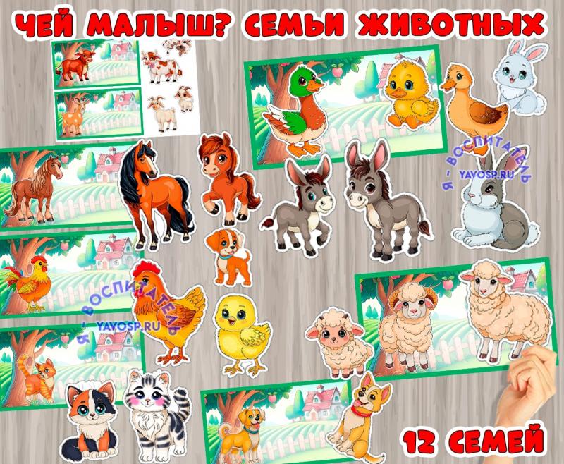 Дидактическая игра "Чей малыш"? "Семьи животных" ()