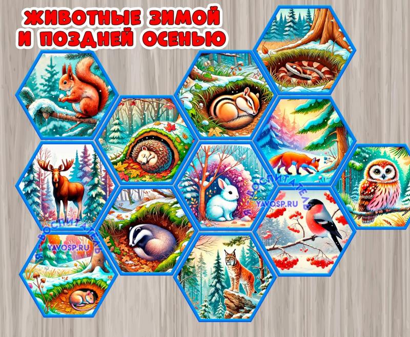 Стендбук "Животные поздней осенью и зимой".
