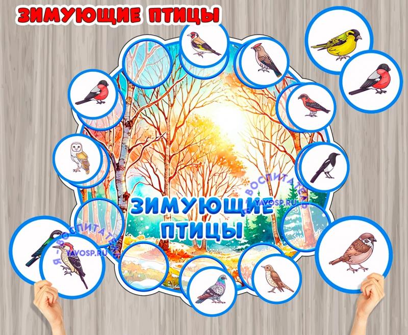 Игра на липучках "Зимующие птицы" ()