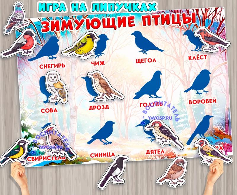 Игра на липучках "Тени: зимующие птицы". 