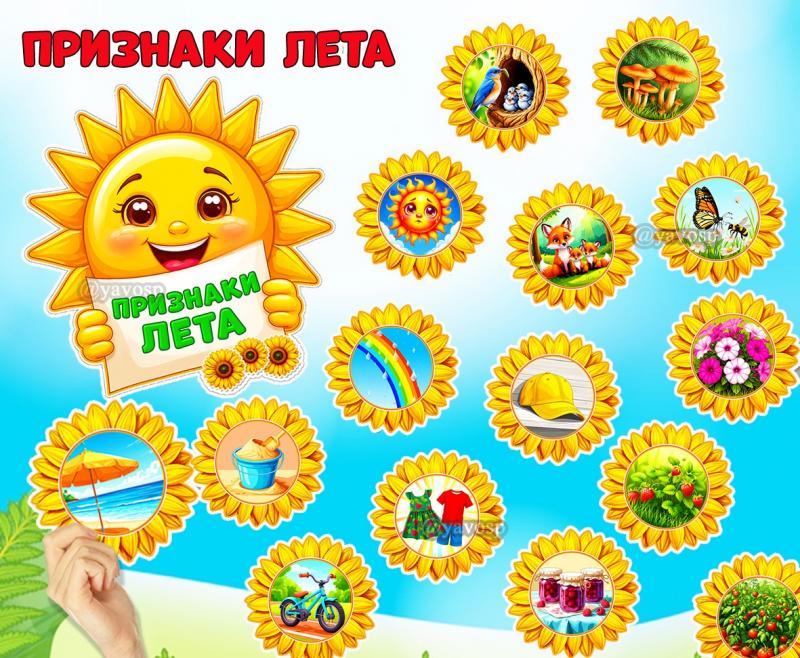 Признаки лета в картинках ()