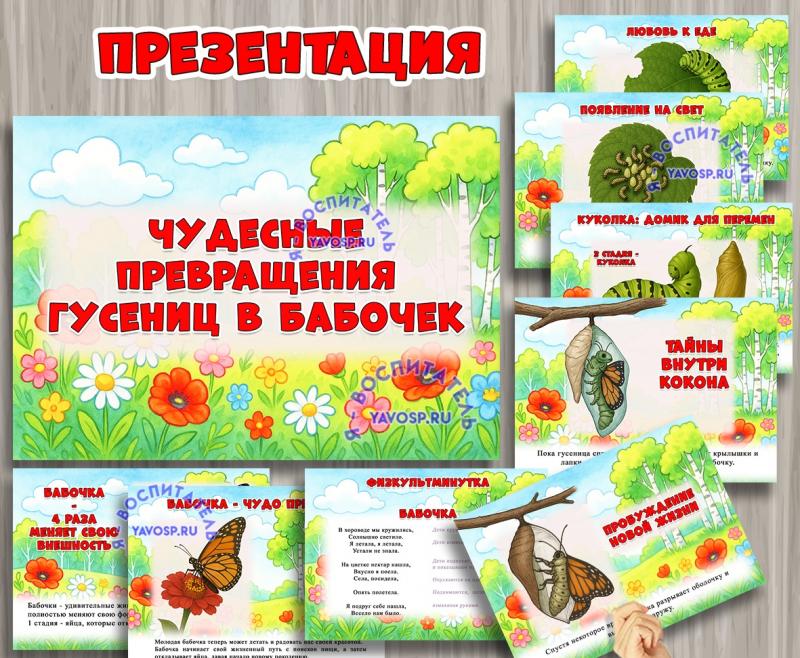 Презентация «Чудесные превращения гусениц в бабочек» ()