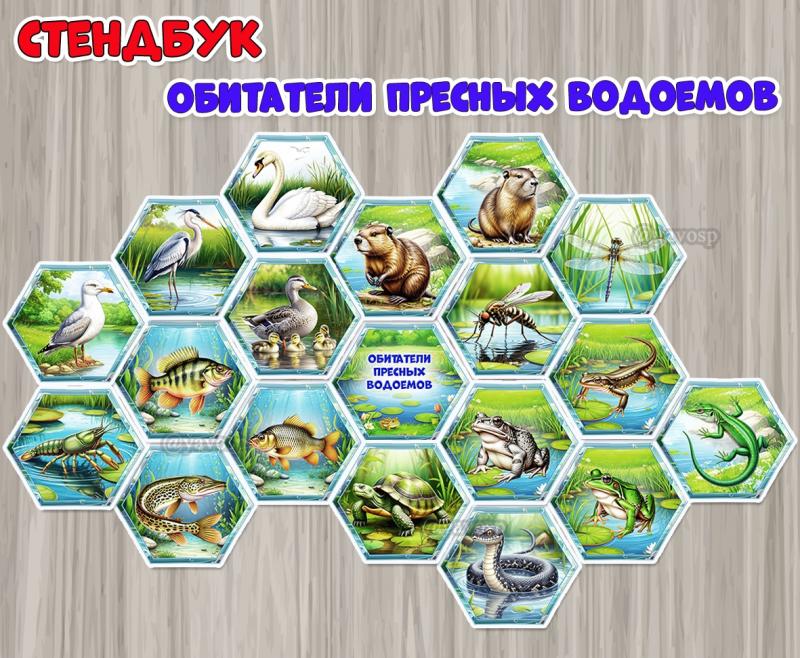 Стендбук «Обитатели пресных водоемов» ()