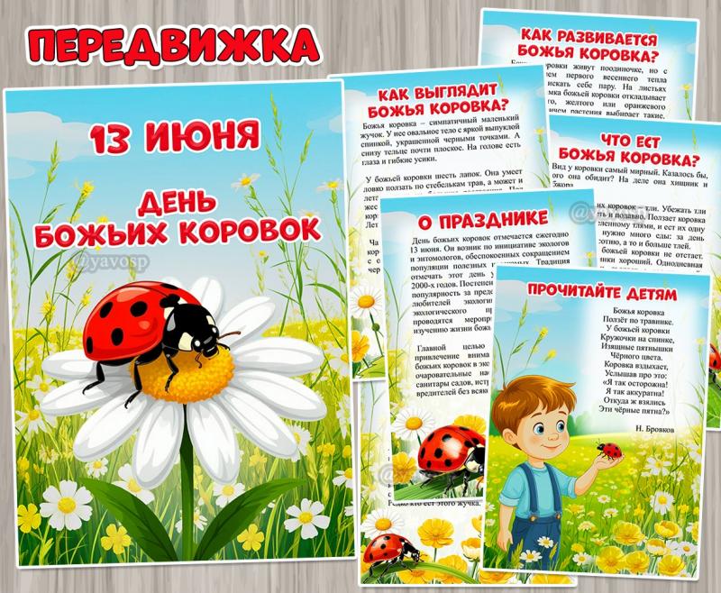 13 июня - день божьих коровок. ()