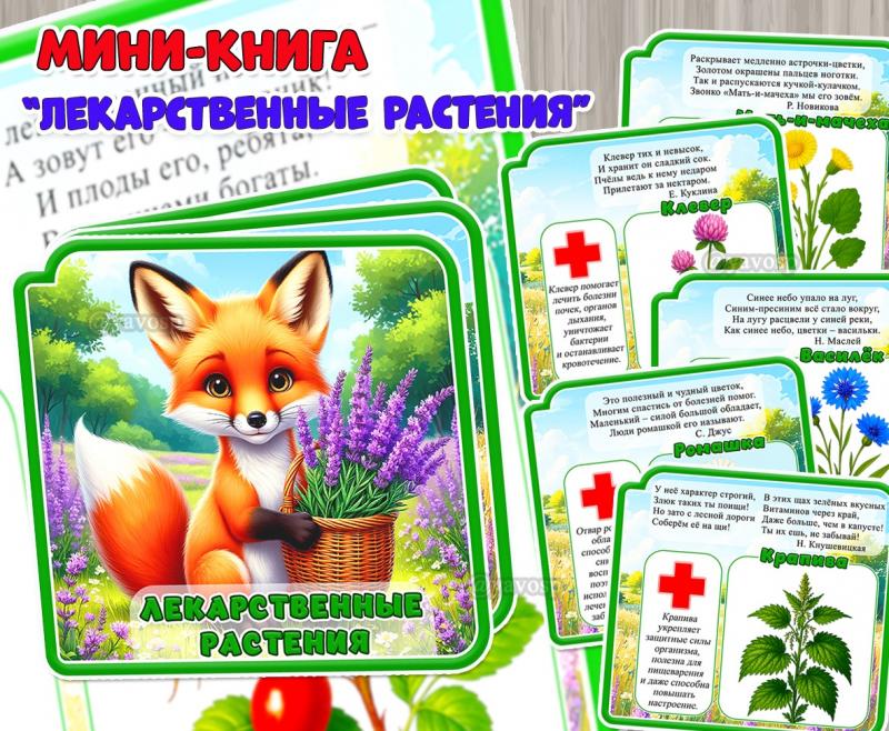 Мини-книга «Лекарственные растения» из 10 страниц: 8 растений + обложка.  ()