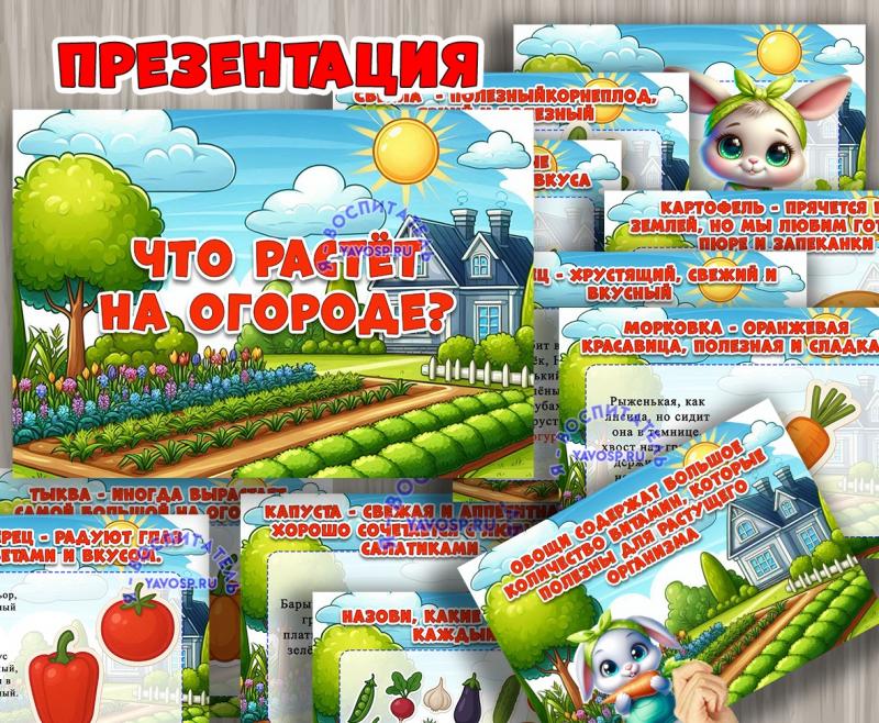Презентация «Что растёт на огороде»  ()