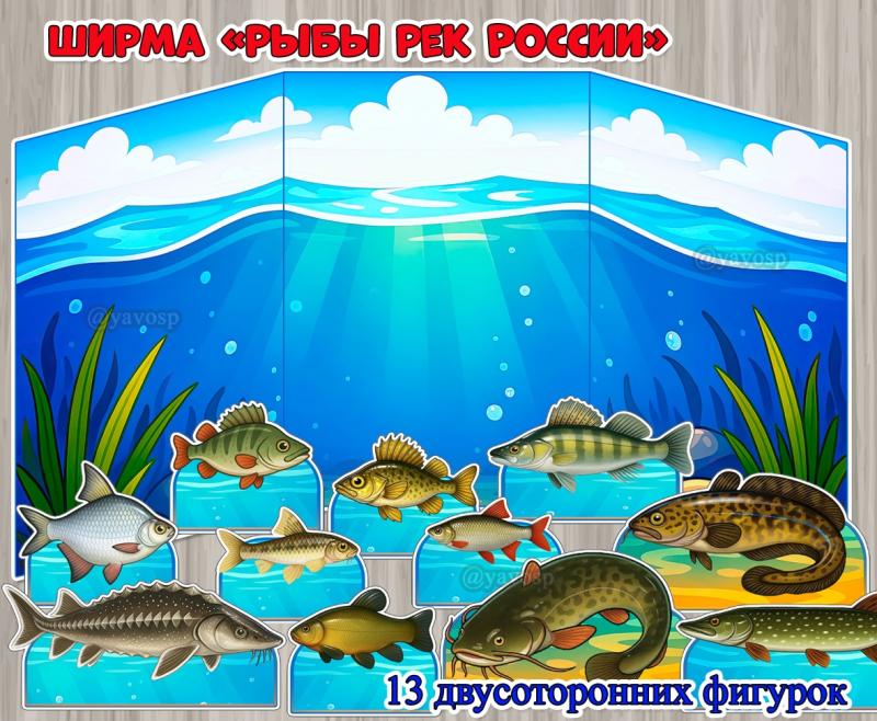 Ширма «Рыбы рек России»  ()