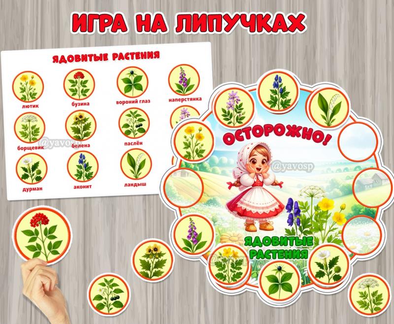 Игра на липучках «Осторожно! Ядовитые растения»  ()