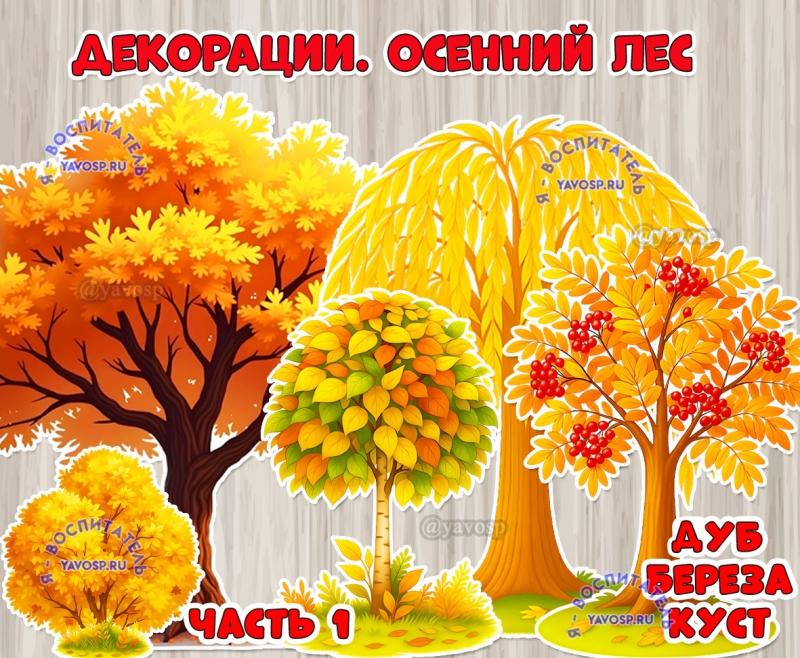 Декорации "Осенний лес" подойдут для оформление стен, окон, дверей.  ()