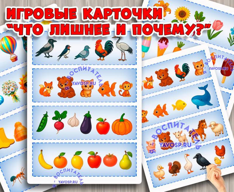 Дидактическая игра "Что лишнее и почему?" ()