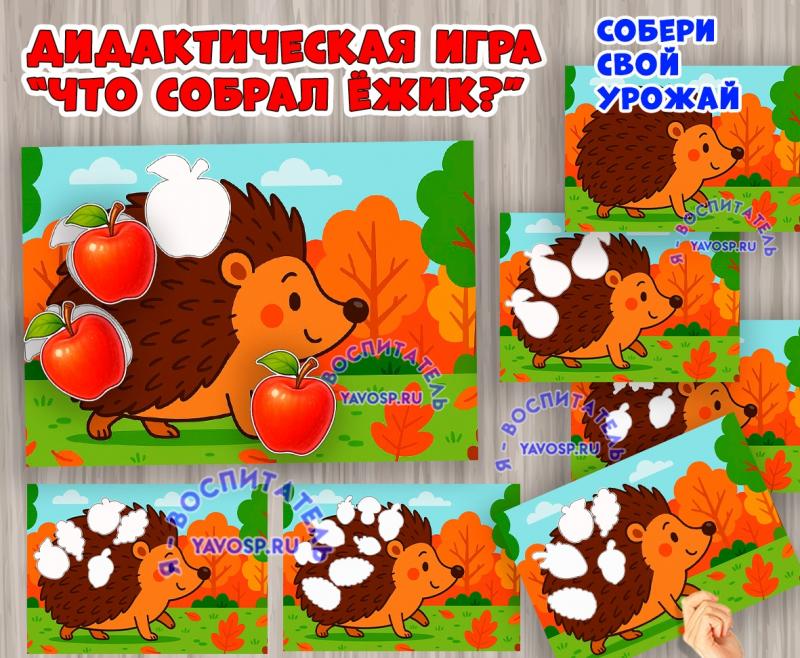 Игра "Что собрал ёжик" ()