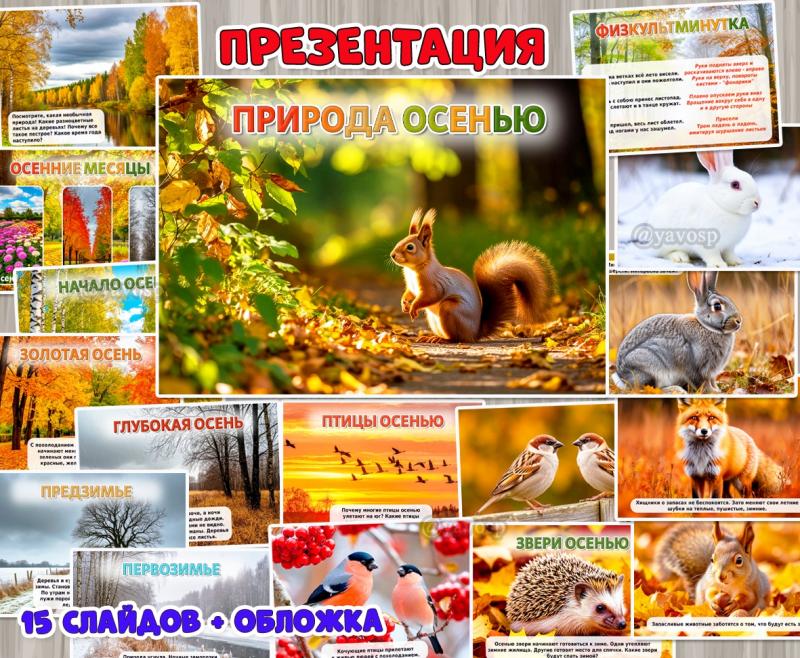 Презентация «Природа осенью» из 16 слайдов.  ()