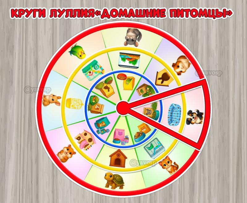 Круги Луллия «Домашние питомцы».  ()