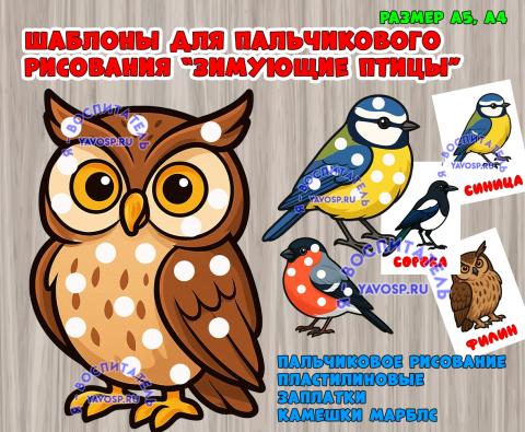 Зимующие птицы: шаблоны для пластилиновых заплаток, пальчикового рисования, работы с камешками марблс (зимующие птицы, бокс для подарка, пальчиковая игра, шаблон. апрель, шаблон, рисование, птицы, перелетные птицы, пальчиковая гимнастика, день птиц)