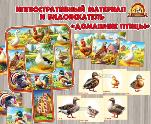 Иллюстративный материал и видоискатель «Домашние птицы»  (наглядный материал, видоискатель, день птиц, домашние животные, зимующие птицы, перелетные птицы, птицы, город, город-герой, день города)