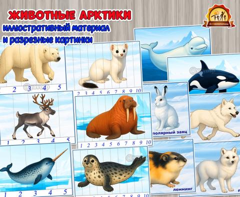 Животные Арктики (животные, домашние животные, животные севера)