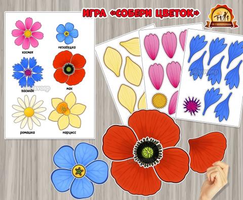 Дидактическая игра «Собери цветок» (Дидактическая игра, игра, цветок, игра на прищепках, игра с фонариком)