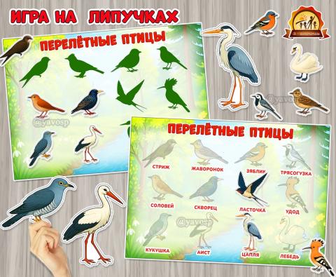 Игра на липучках «Перелетные птицы» Игра на липучках «Перелетные птицы» (перелетные птицы, игра, птицы, Дидактическая игра, зимующие птицы)