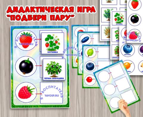 Игра «Подбери пару: ягоды».  (ягоды, игра, Дидактическая игра, игра на прищепках, игра с фонариком)