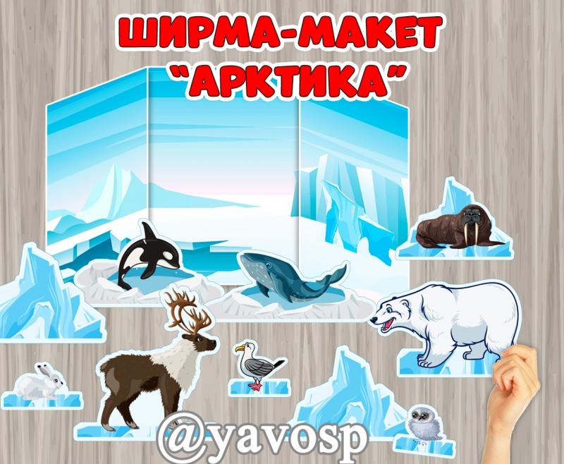 Ширма-макет "Арктика. Животные Арктики" ()