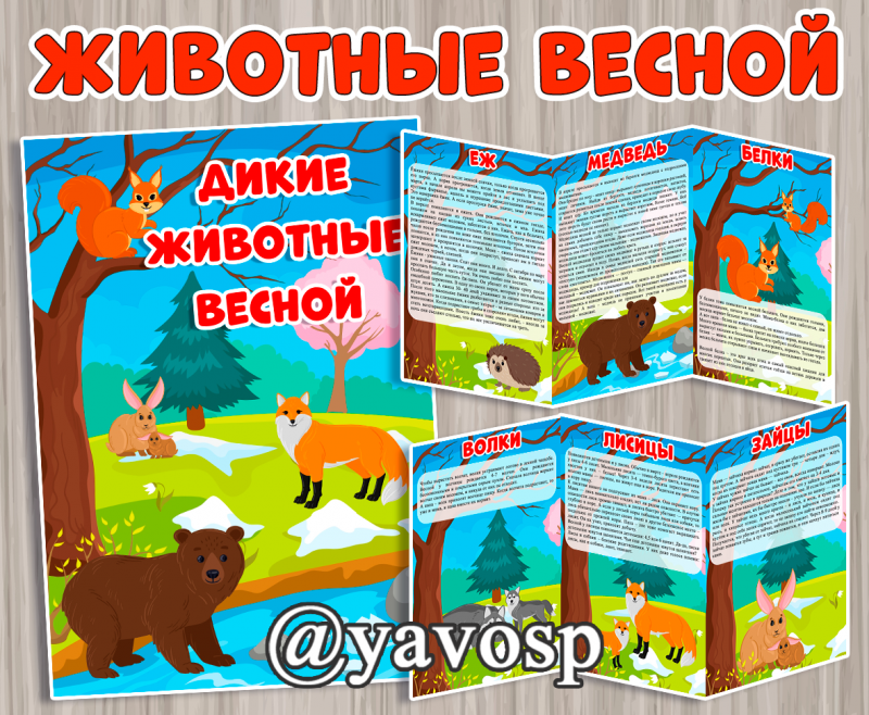 Дикие животные весной - папка передвижка