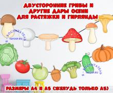 Гирлянда или растяжка: грибы и другие дары осени 