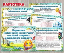 Картотека наблюдений на прогулке в ноябре  