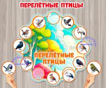 Игра на липучках "Перелетные птицы" 