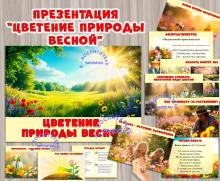 Презентация «Цветение природы весной»  ()
