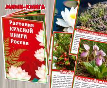 Мини-книга «Растения Красной книги России» 9 страниц + обложка.  ()