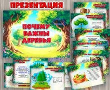 Презентация «Почему важны деревья»  ()
