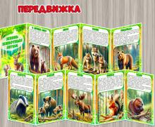 Жизнь животных летом ()