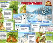 «Кто такой заяц-беляк?» (заяц)