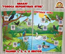 Плакат "Голоса перелетных птиц" с QR-кодами Плакат "Голоса перелетных птиц" с QR-кодами (день птиц, плакат, Мотивационный плакат)