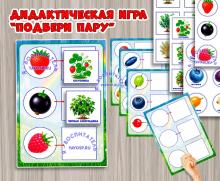 Игра «Подбери пару: ягоды». Игра «Подбери пару: ягоды». (ягоды, игра, Дидактическая игра, игра на прищепках, игра с фонариком)