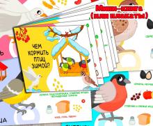 Чем кормить птиц зимой, мини-книга и плакаты. Детский сад, дошкольник, средняя, старшая, подготовительная, младшая группа